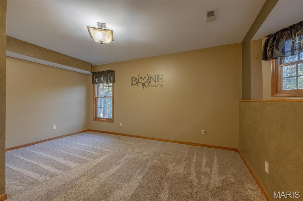 100 Silex Elevator Road Silex, MO 63377 - Photo 26 of 50