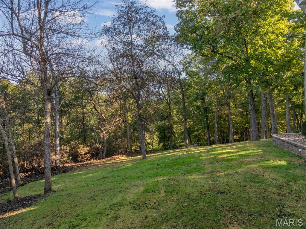 100 Silex Elevator Road Silex, MO 63377 - Photo 43 of 50