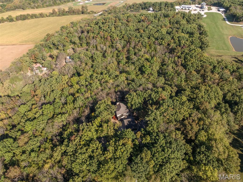 100 Silex Elevator Road Silex, MO 63377 - Photo 46 of 50