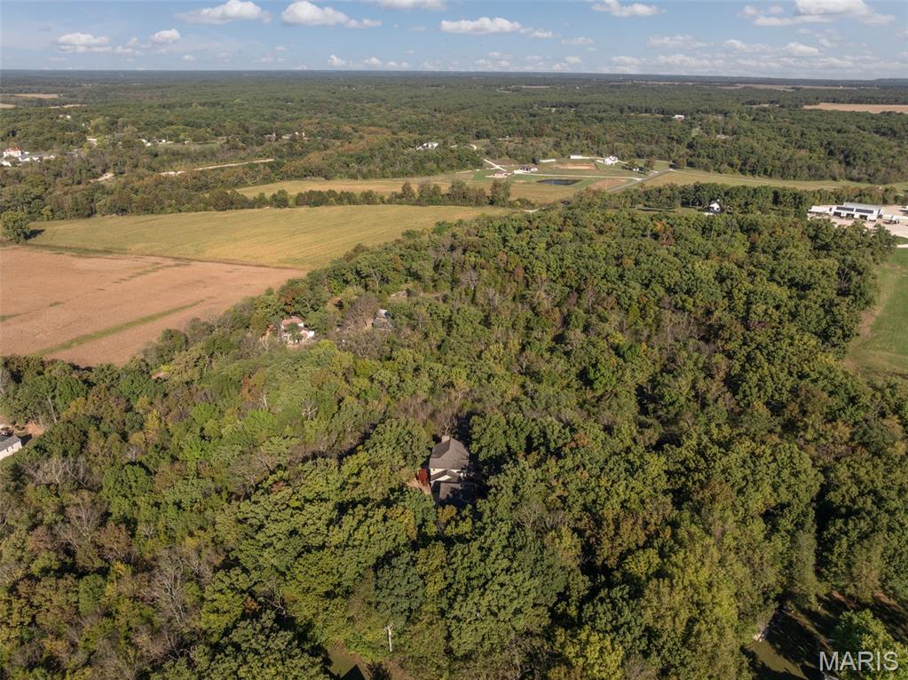 100 Silex Elevator Road Silex, MO 63377 - Photo 47 of 50