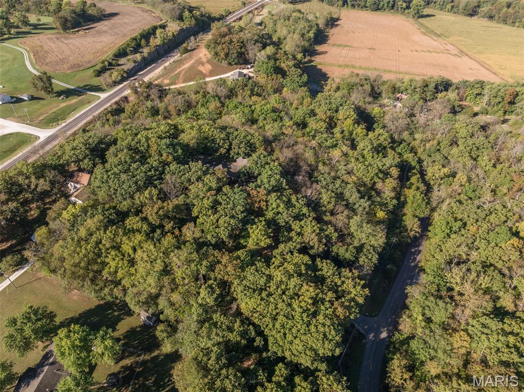 100 Silex Elevator Road Silex, MO 63377 - Photo 48 of 50