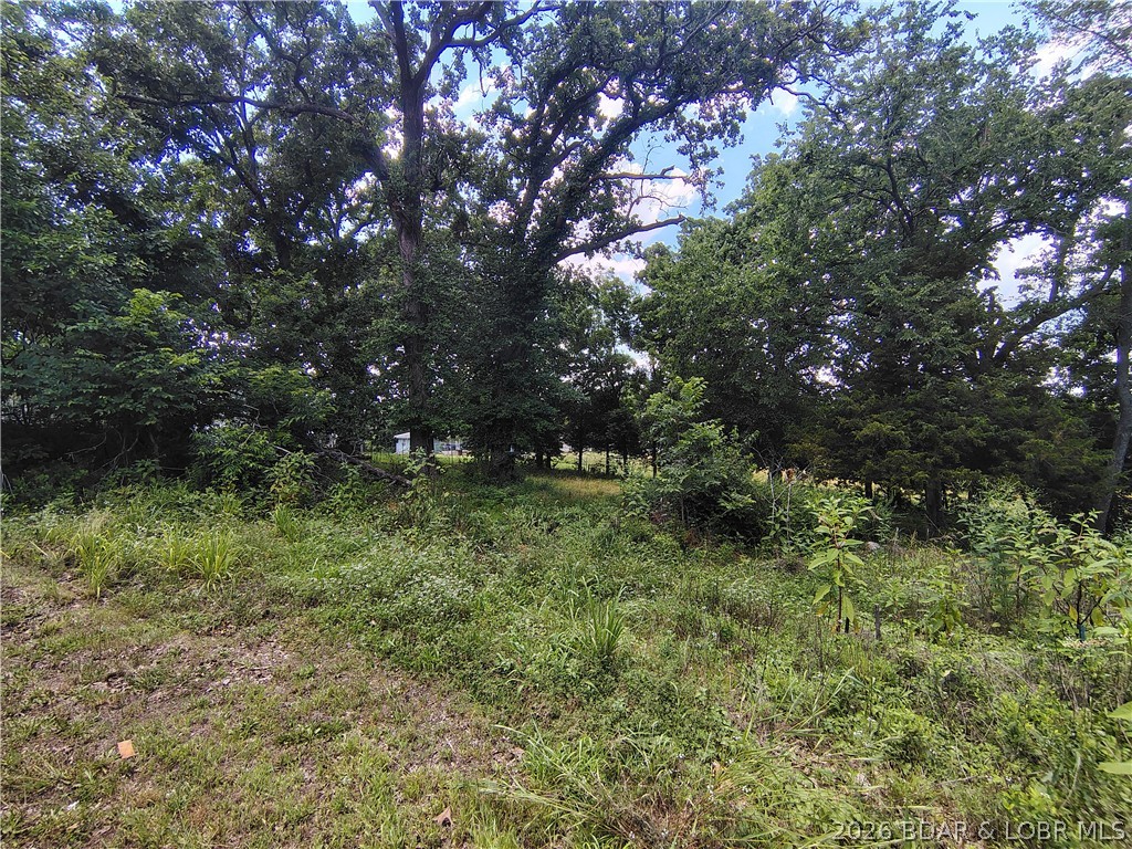 1105 Lay Avenue Warsaw, MO 65355 - Photo 65 of 74