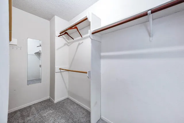 a view of an empty walk in closet