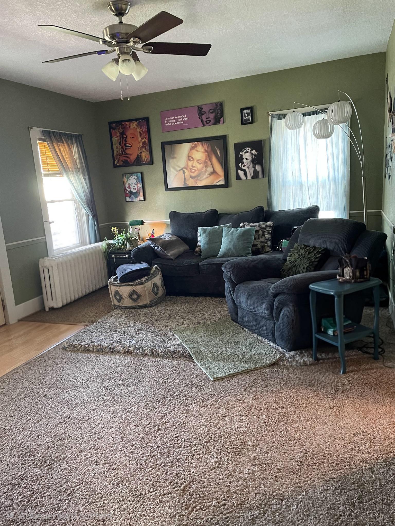 203 East 7th Street Red Wing, MN 55066 - Photo 6 of 9