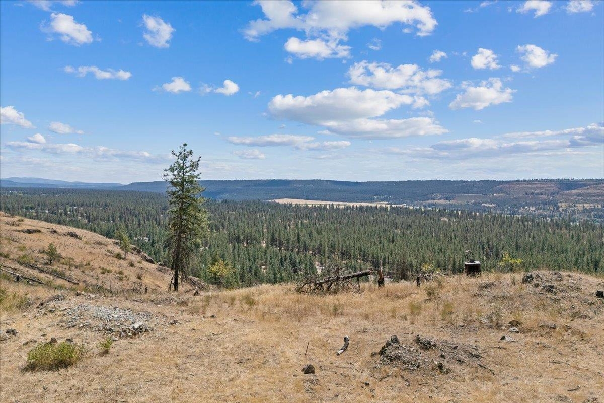 6520 Pine Ridge Way Nine Mile Falls, WA 99026 - Photo 27 of 40 Gallery Image 27