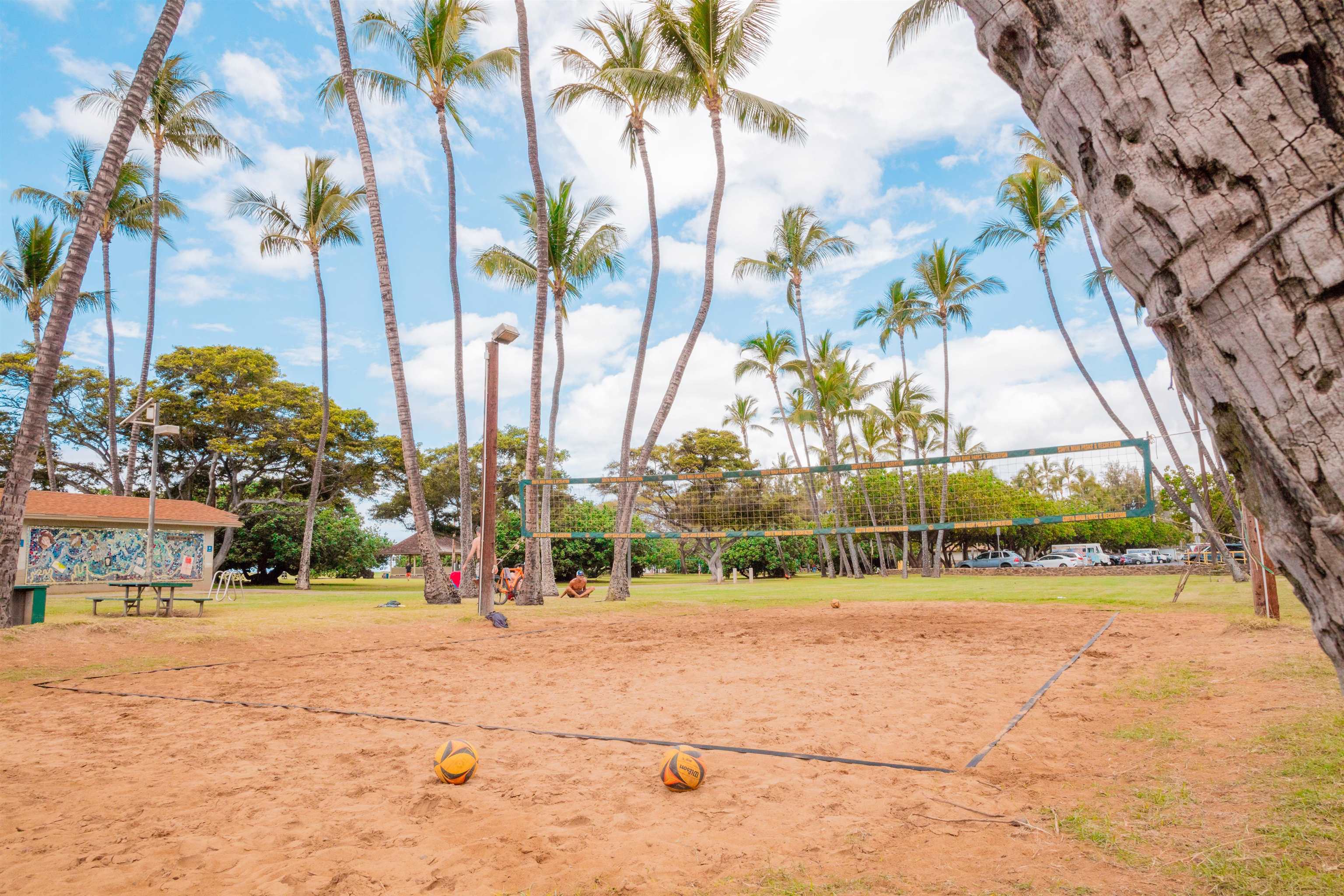 2191 South Kihei Road, Unit 3402 Kihei, HI 96753 - Photo 46 of 50 a view of a park with palm trees