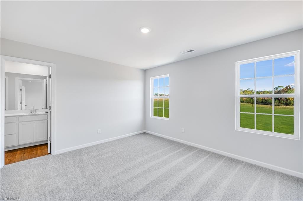 175 Plumtree Court King, NC 27021 - Photo 24 of 30