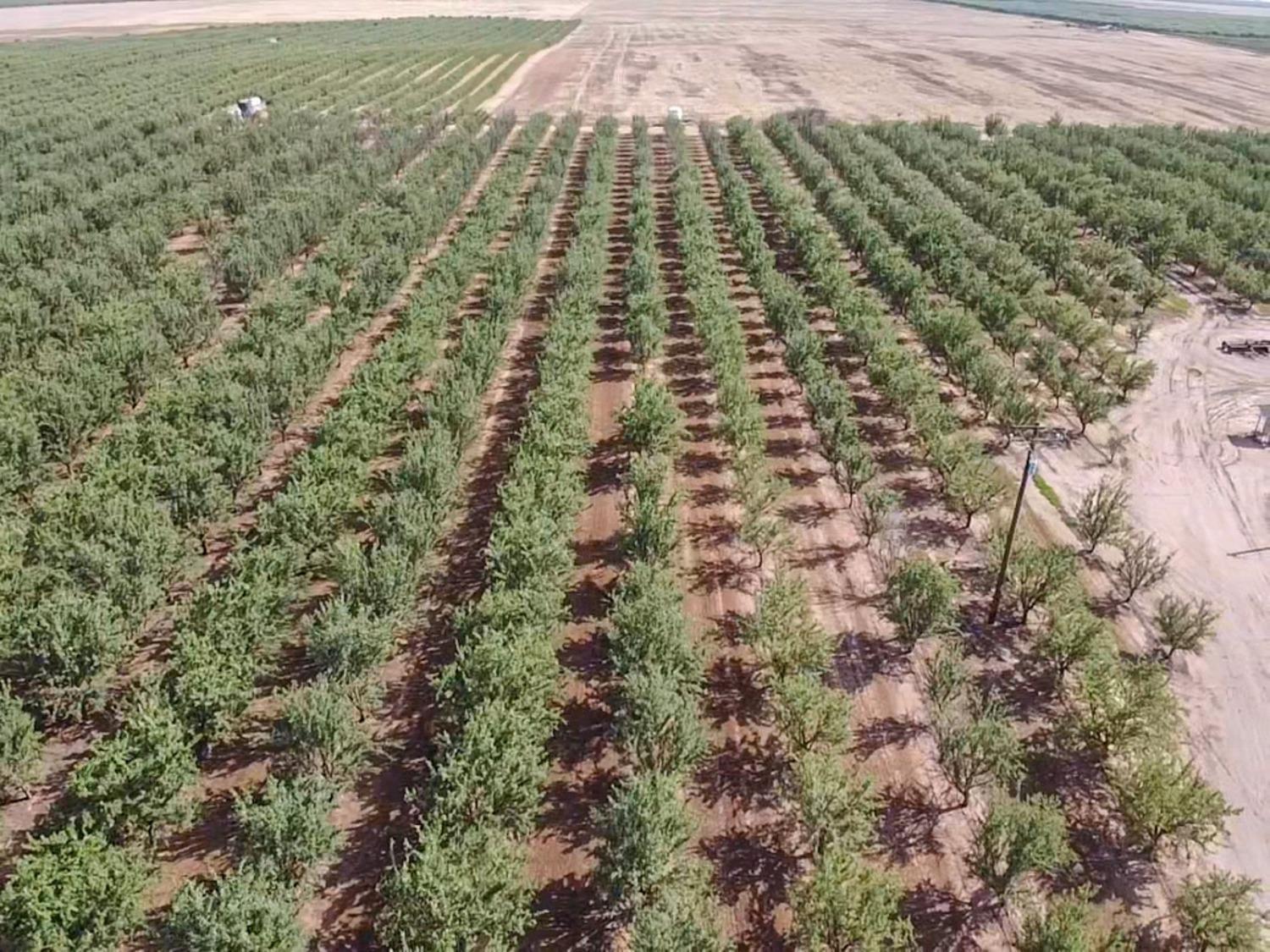 14155 Buchanan Hollow Road Le Grand, CA 95333 - Photo 11 of 46