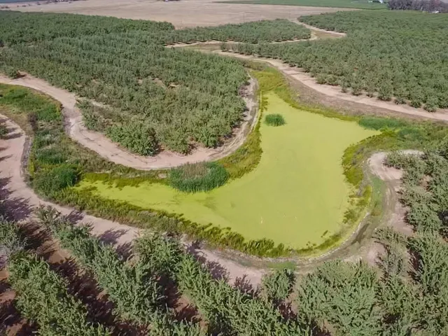 a view of a lake with a field of grass and trees