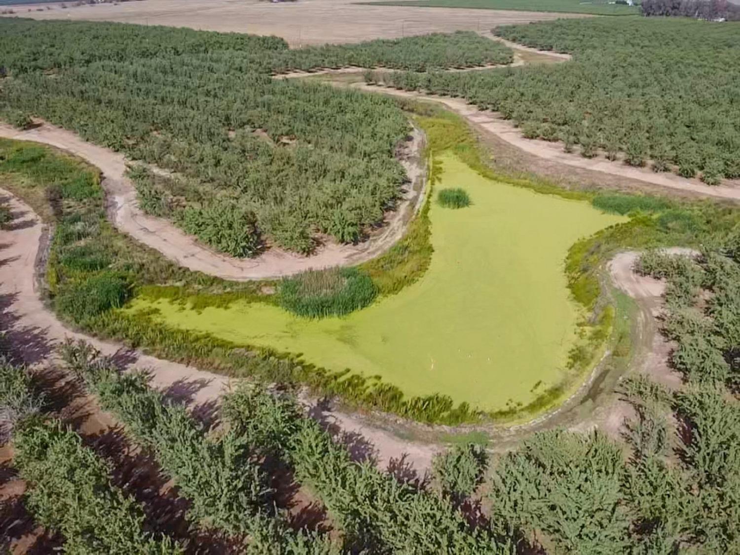 14155 Buchanan Hollow Road Le Grand, CA 95333 - Photo 13 of 46 a view of a lake with a park
