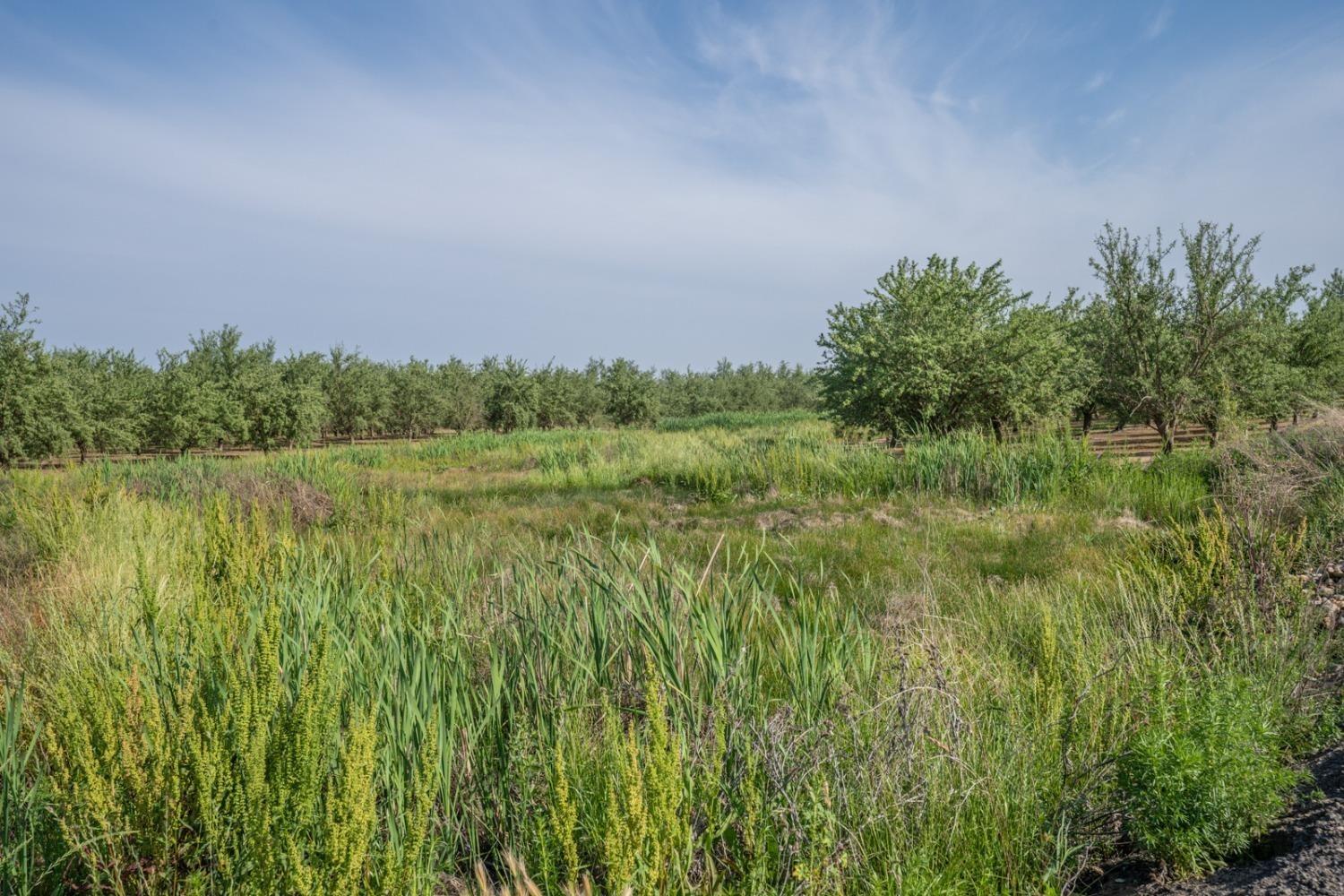 14155 Buchanan Hollow Road Le Grand, CA 95333 - Photo 14 of 46 a view of a lake with a field of grass and trees