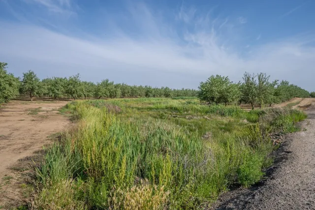 a view of a house with sitting area and furniture