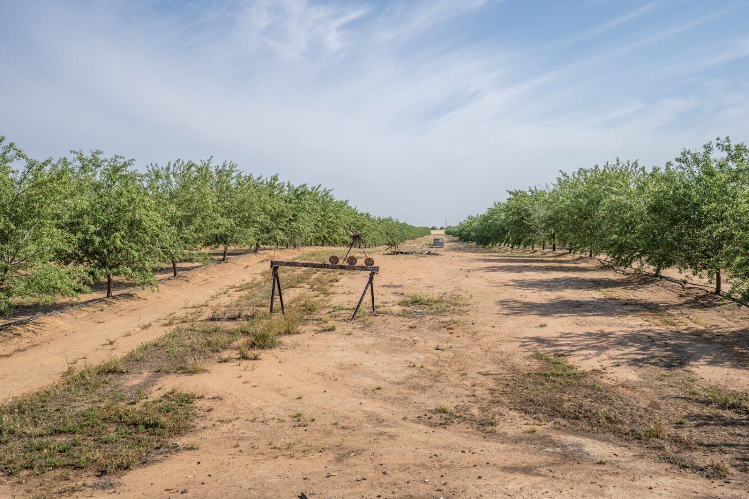 14155 Buchanan Hollow Road Le Grand, CA 95333 - Photo 20 of 46 a view of a lake with a yard