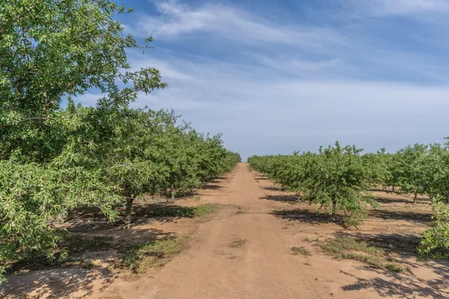 a view of a pathway with a yard