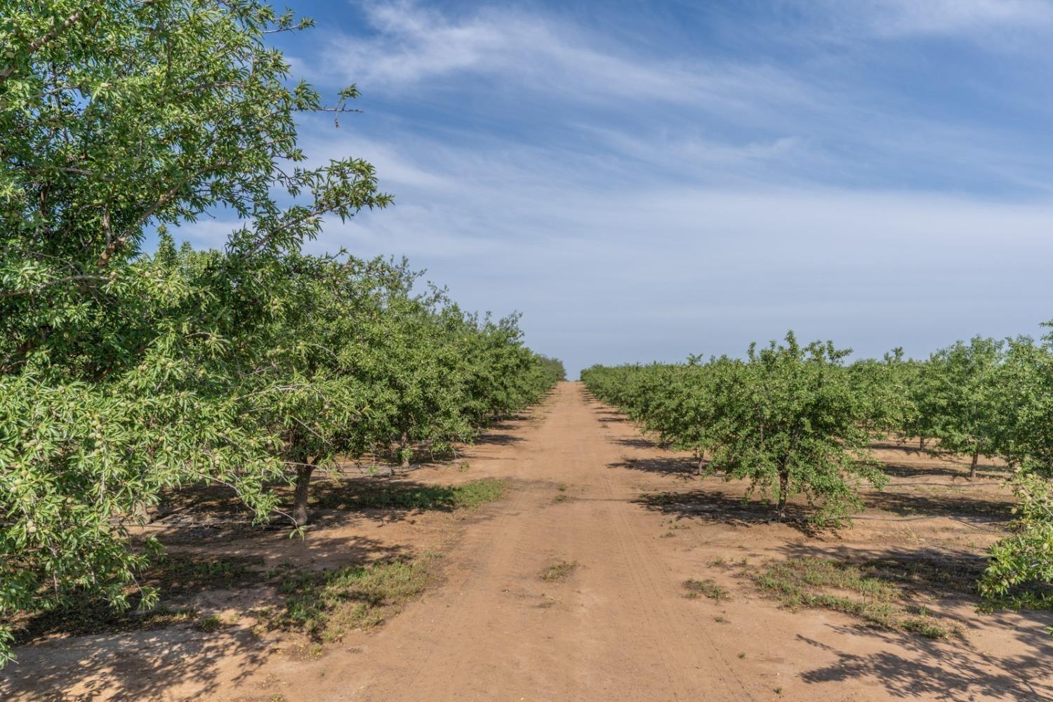 14155 Buchanan Hollow Road Le Grand, CA 95333 - Photo 4 of 46 a view of a pathway with a yard