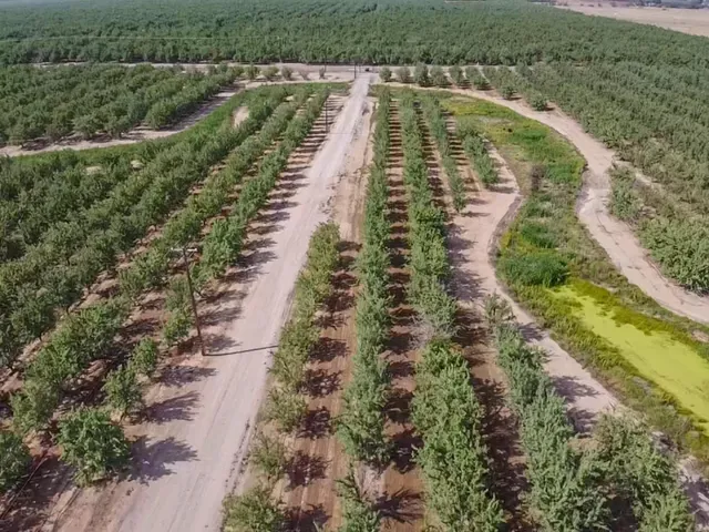 a view of swimming pool with a yard