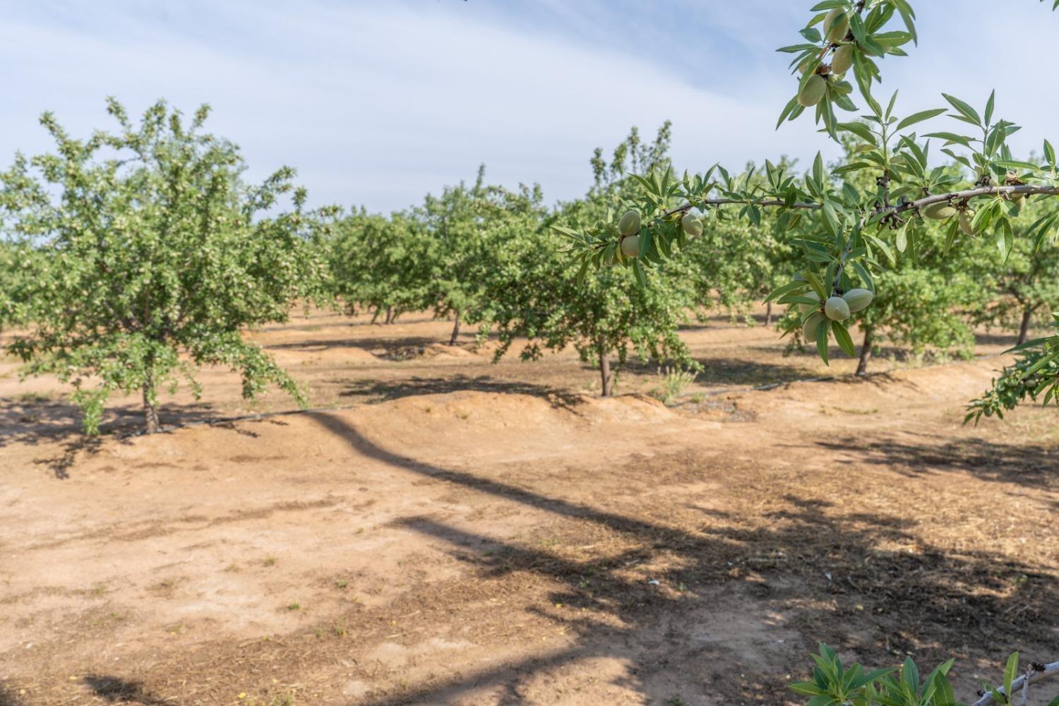 14155 Buchanan Hollow Road Le Grand, CA 95333 - Photo 9 of 46 a view of swimming pool with a yard