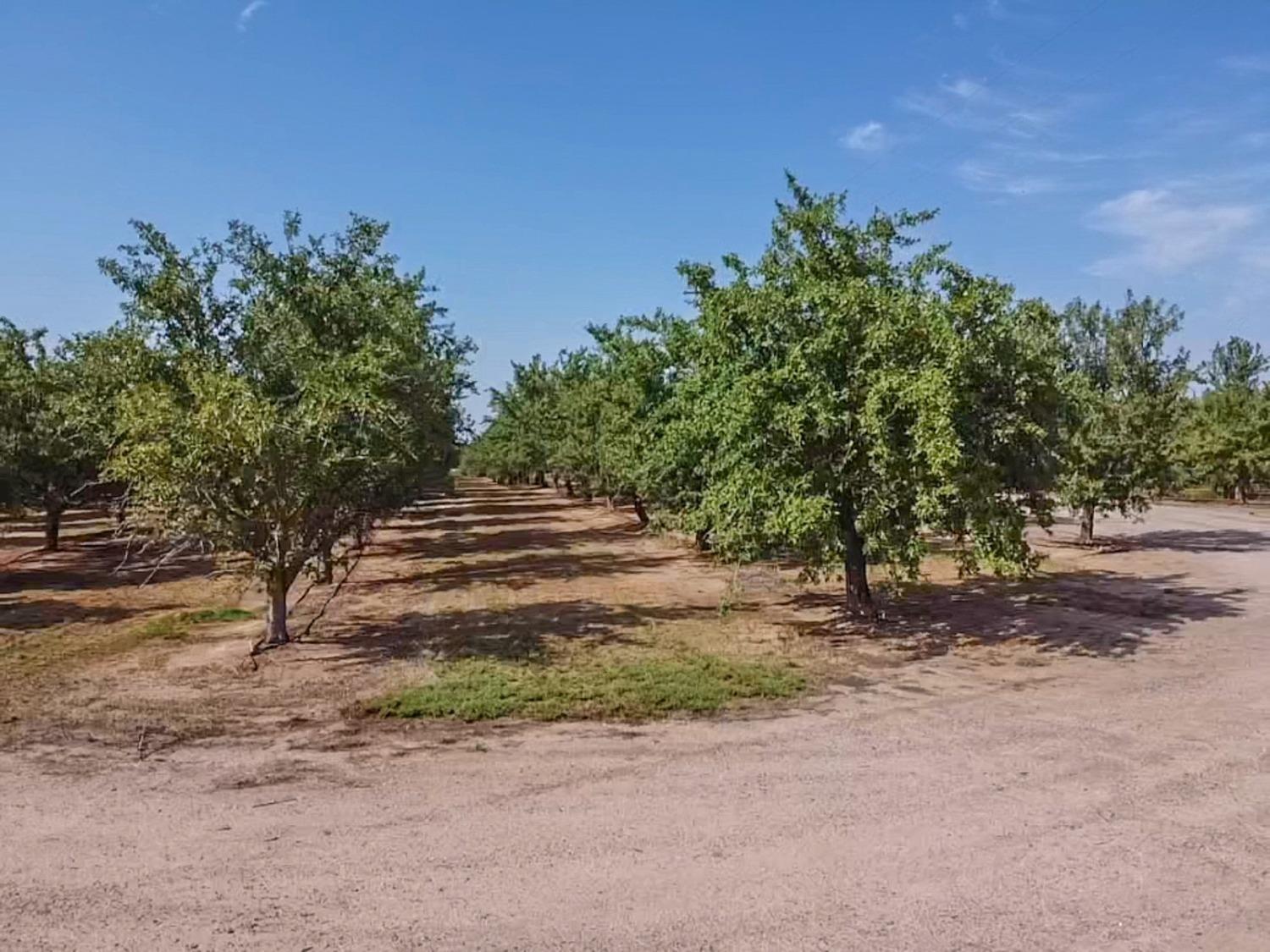 14155 Buchanan Hollow Road Le Grand, CA 95333 - Photo 10 of 46 a backyard of a house with lots of green space