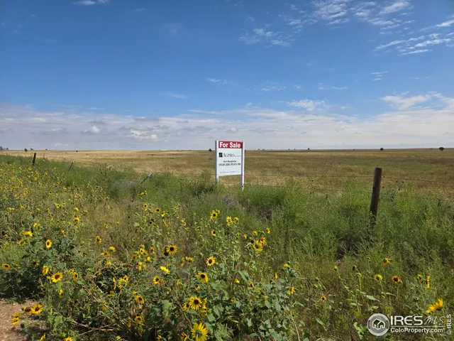 a view of a field with an ocean