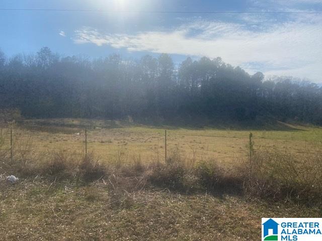 3154 Taylors Mill Road Talladega, AL 35160 - Photo 41 of 46