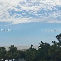 40 Folly Field Road, Unit 225 Hilton Head Island, SC 29928 - Photo 44 of 49 view off the back