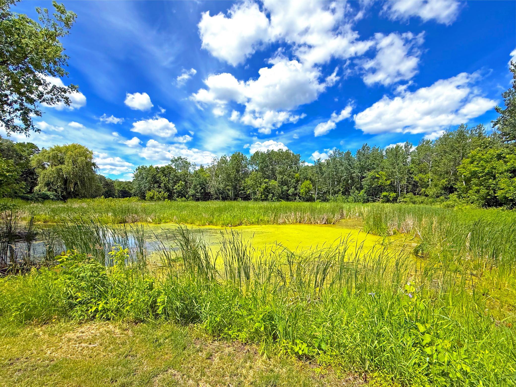 194 Elderberry Road Clearwater, MN 55320 - Photo 31 of 34
