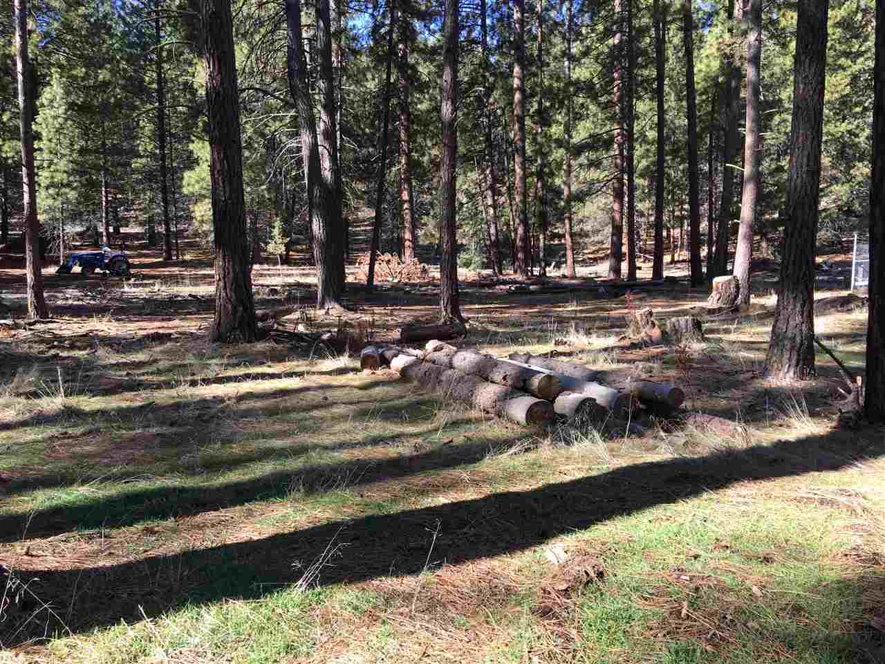 7614 School House Road Dorris, CA 96023 - Photo 17 of 21 Gallery Image 17