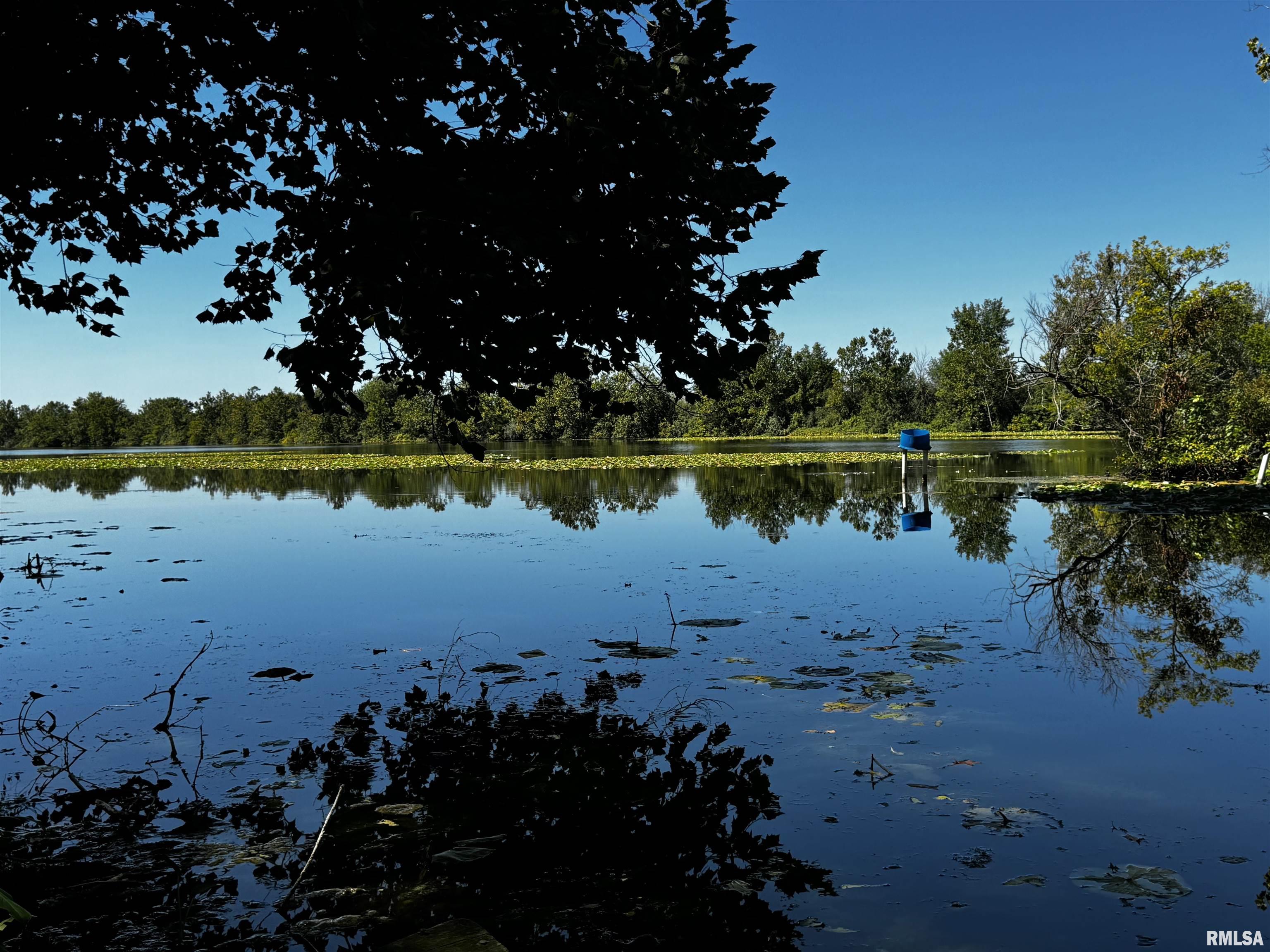 12099 Sunset Drive Manito, IL 61546 - Photo 6 of 26