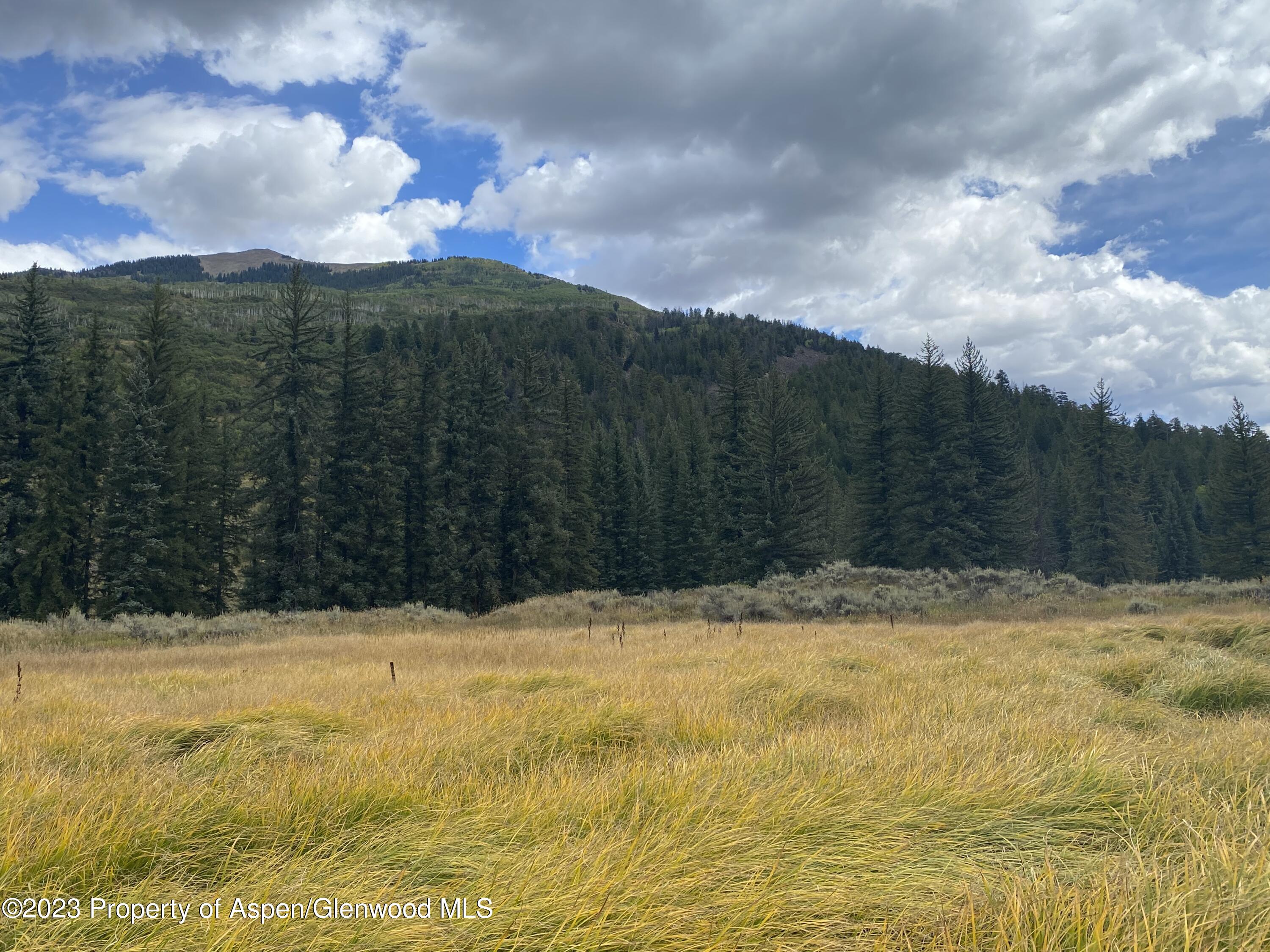 Tbd River Road Carbondale, CO 81623 - Photo 2 of 5 a view of yard covered with snow in the background