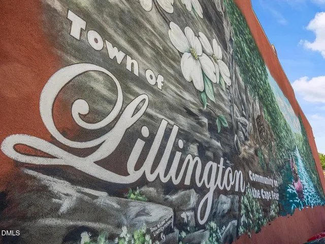 a view of outdoor space with signage and flags