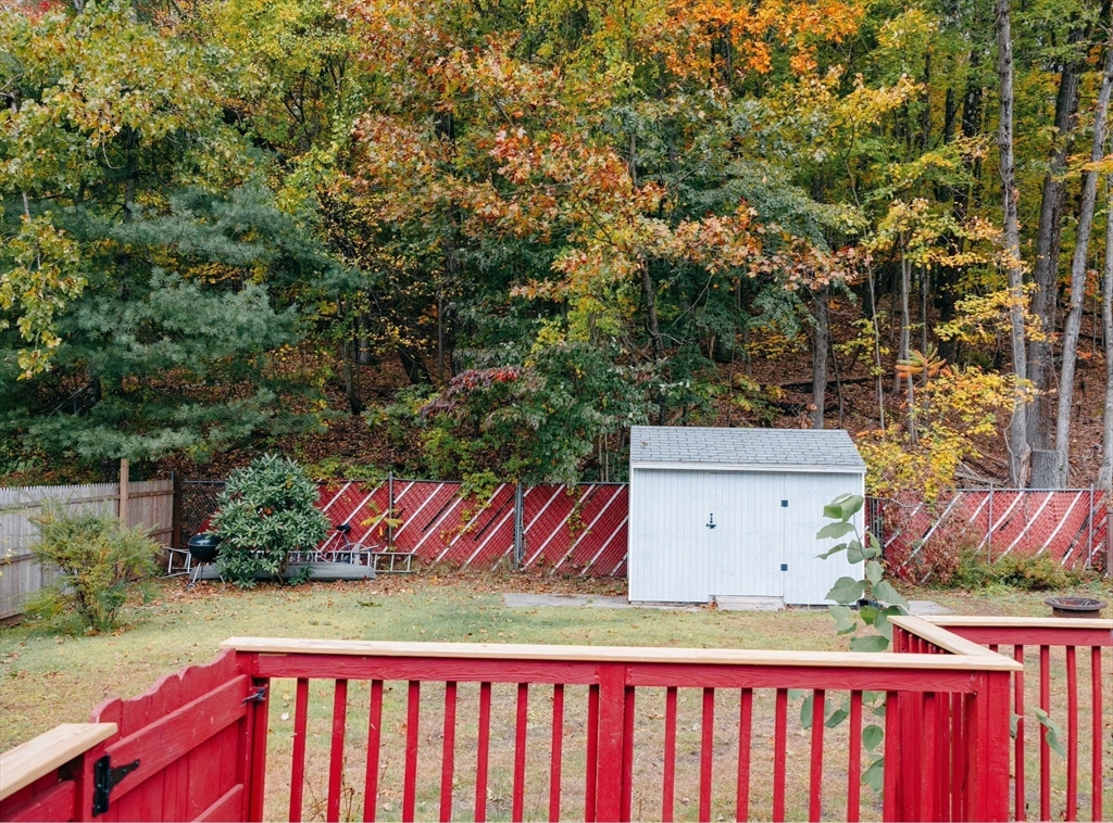 206 Treetop Avenue Springfield, MA 01118 - Photo 3 of 16