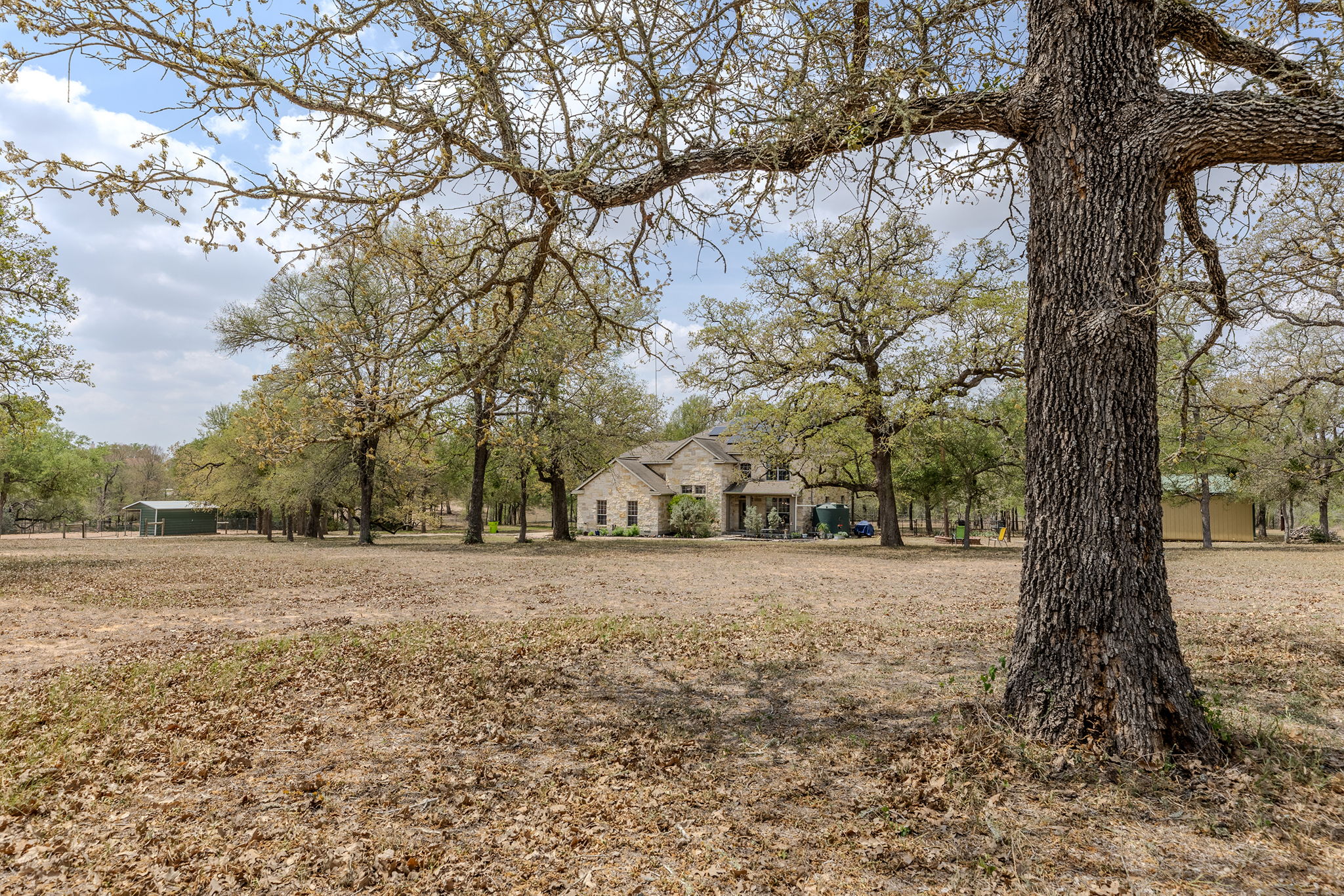 202 The Oaks Boulevard Elgin, TX 78621 - Photo 6 of 40 View of front yard