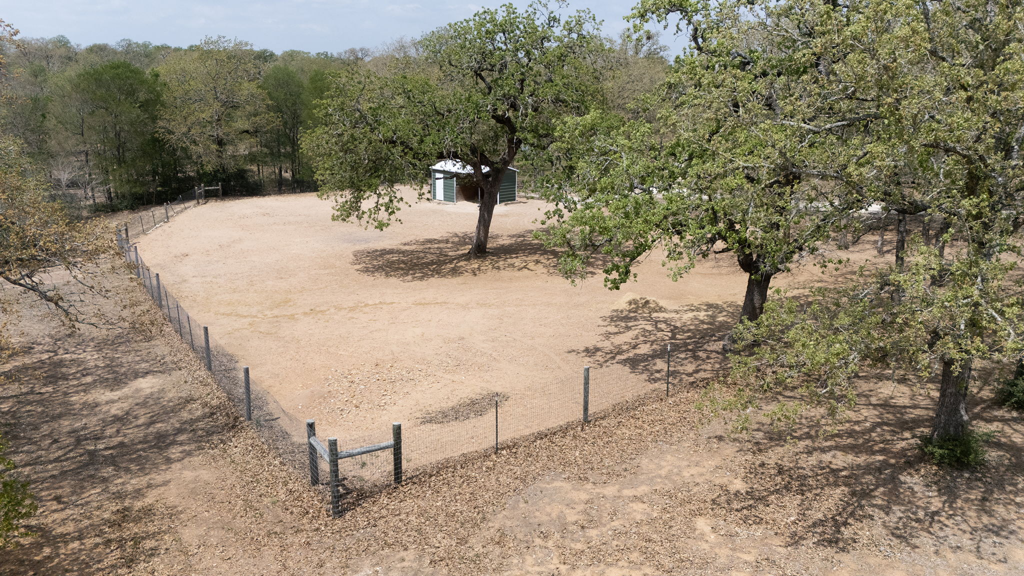 202 The Oaks Boulevard Elgin, TX 78621 - Photo 7 of 40 View of yard with paddock