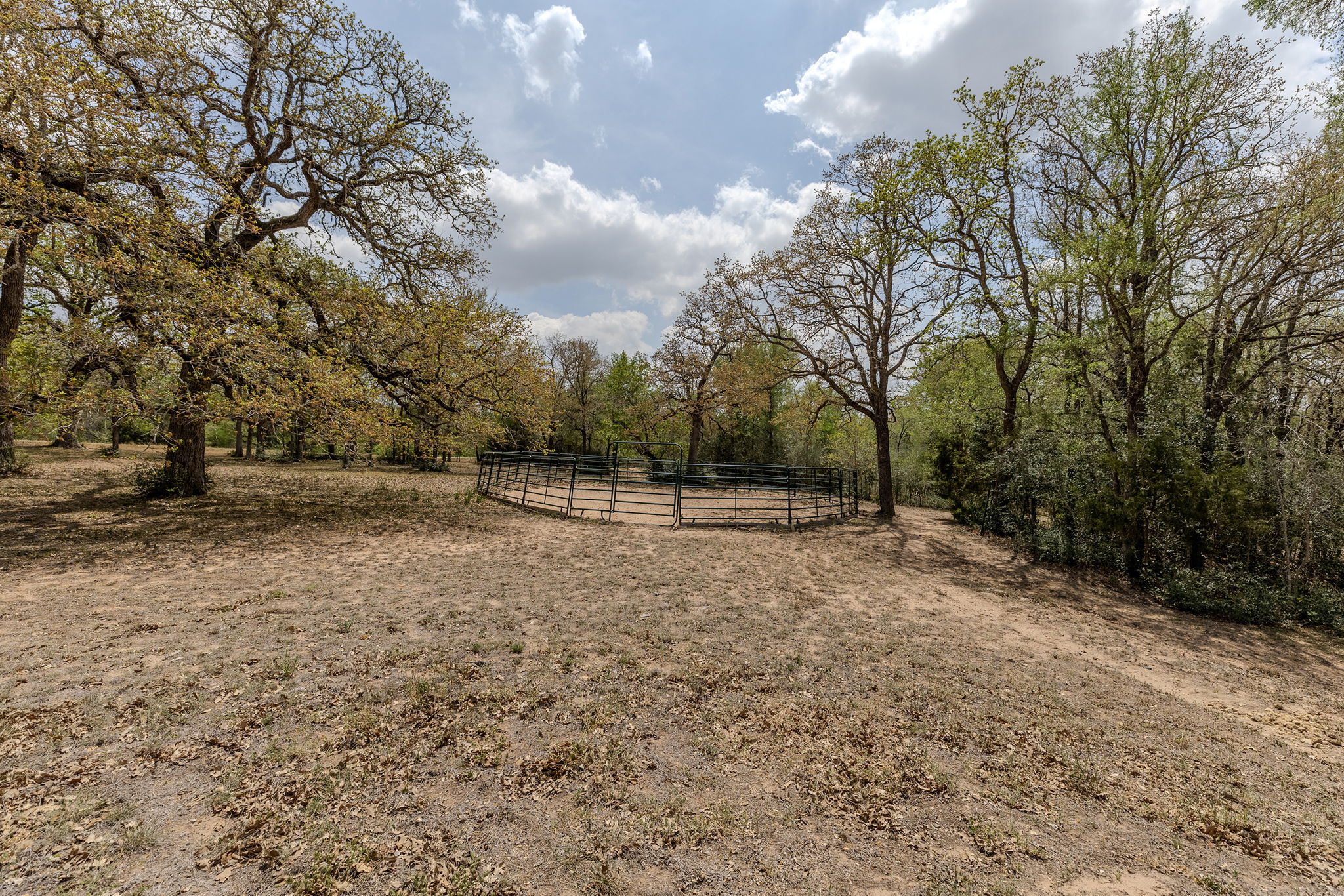 202 The Oaks Boulevard Elgin, TX 78621 - Photo 9 of 40 View of yard featuring an outdoor riding round pen and a view of countryside