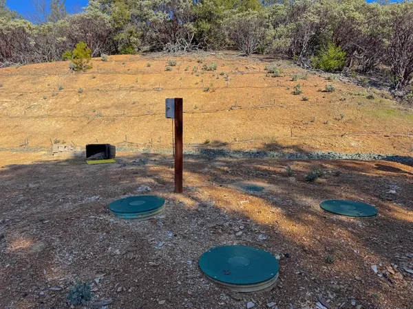 a view of a forest with trees in front of it