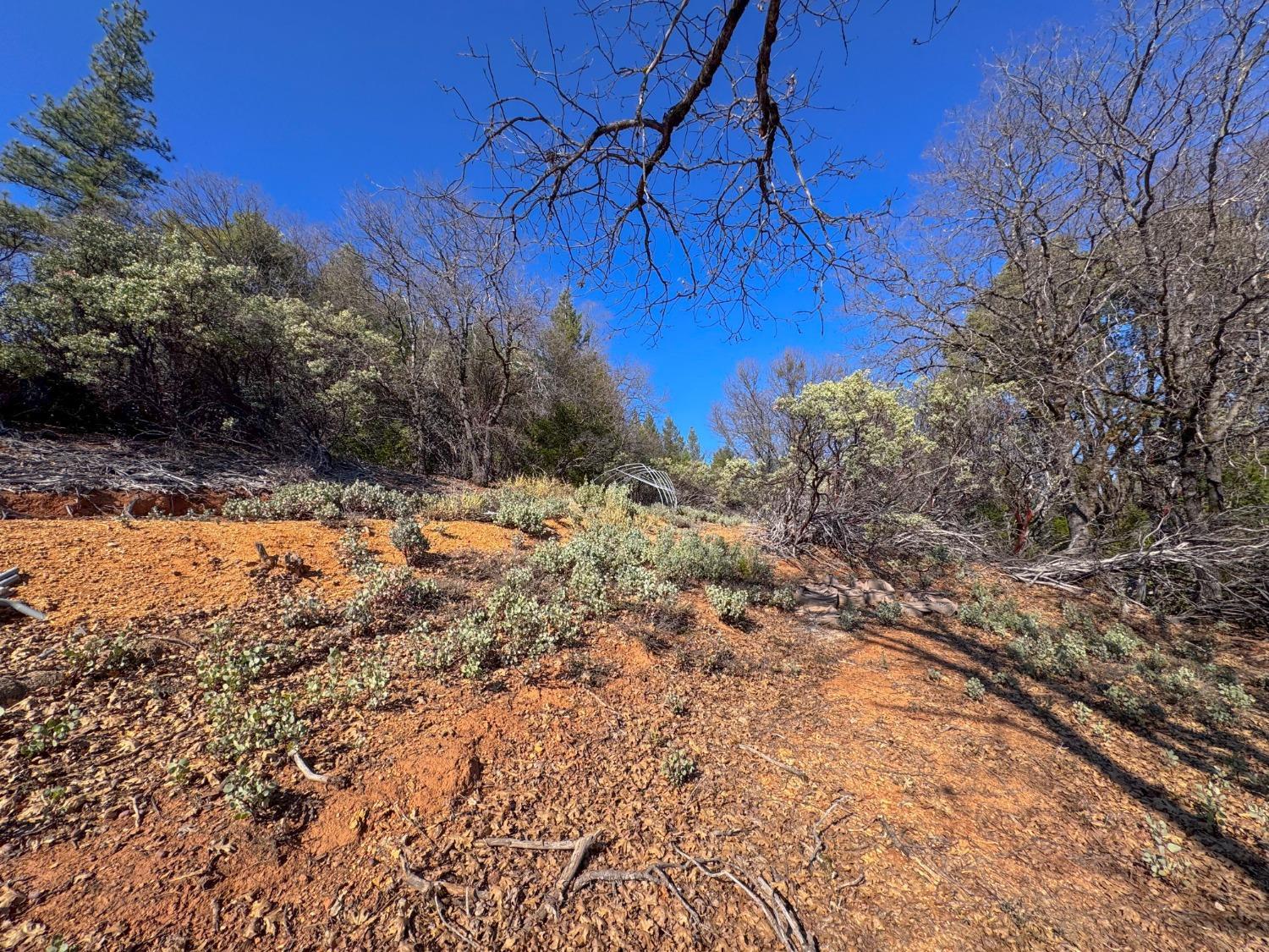 17414 You Bet Road Grass Valley, CA 95945 - Photo 15 of 18 a view of a yard covered in snow