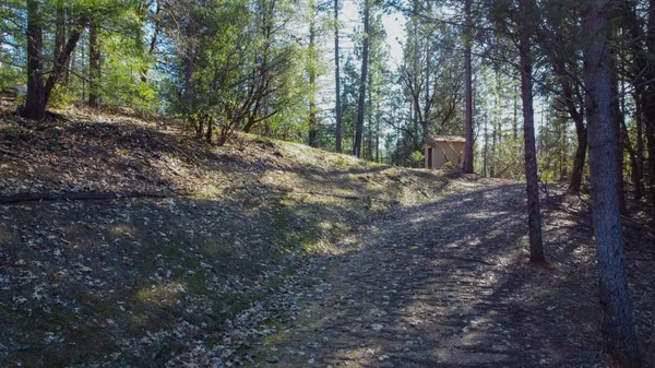 a view of a house with a yard and tree