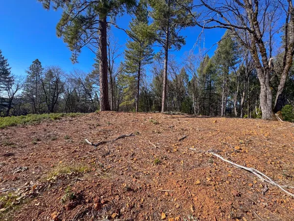a view of snow on a field