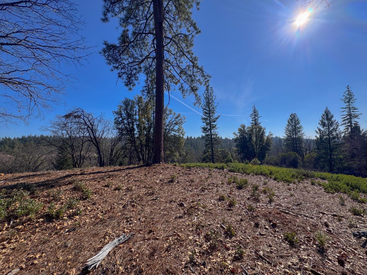 17414 You Bet Road Grass Valley, CA 95945 - Photo 4 of 18 a view of a yard