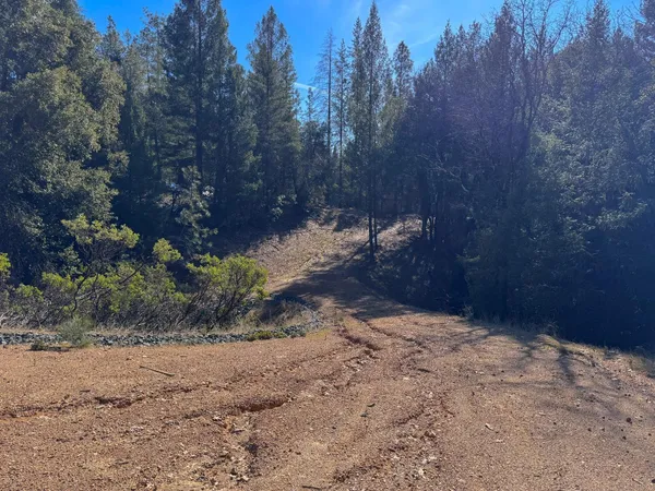 a view of a backyard of a house