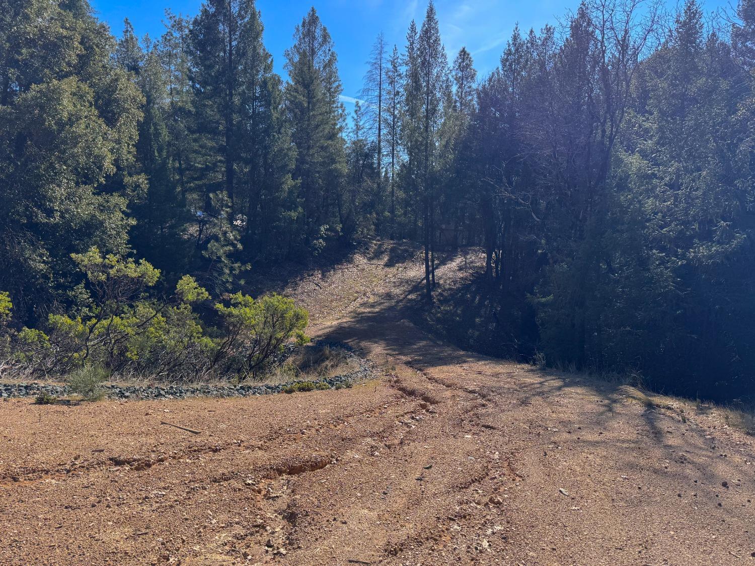 17414 You Bet Road Grass Valley, CA 95945 - Photo 7 of 18 a view of a backyard of a house
