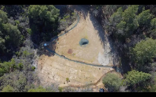 a view of outdoor space yard and trees