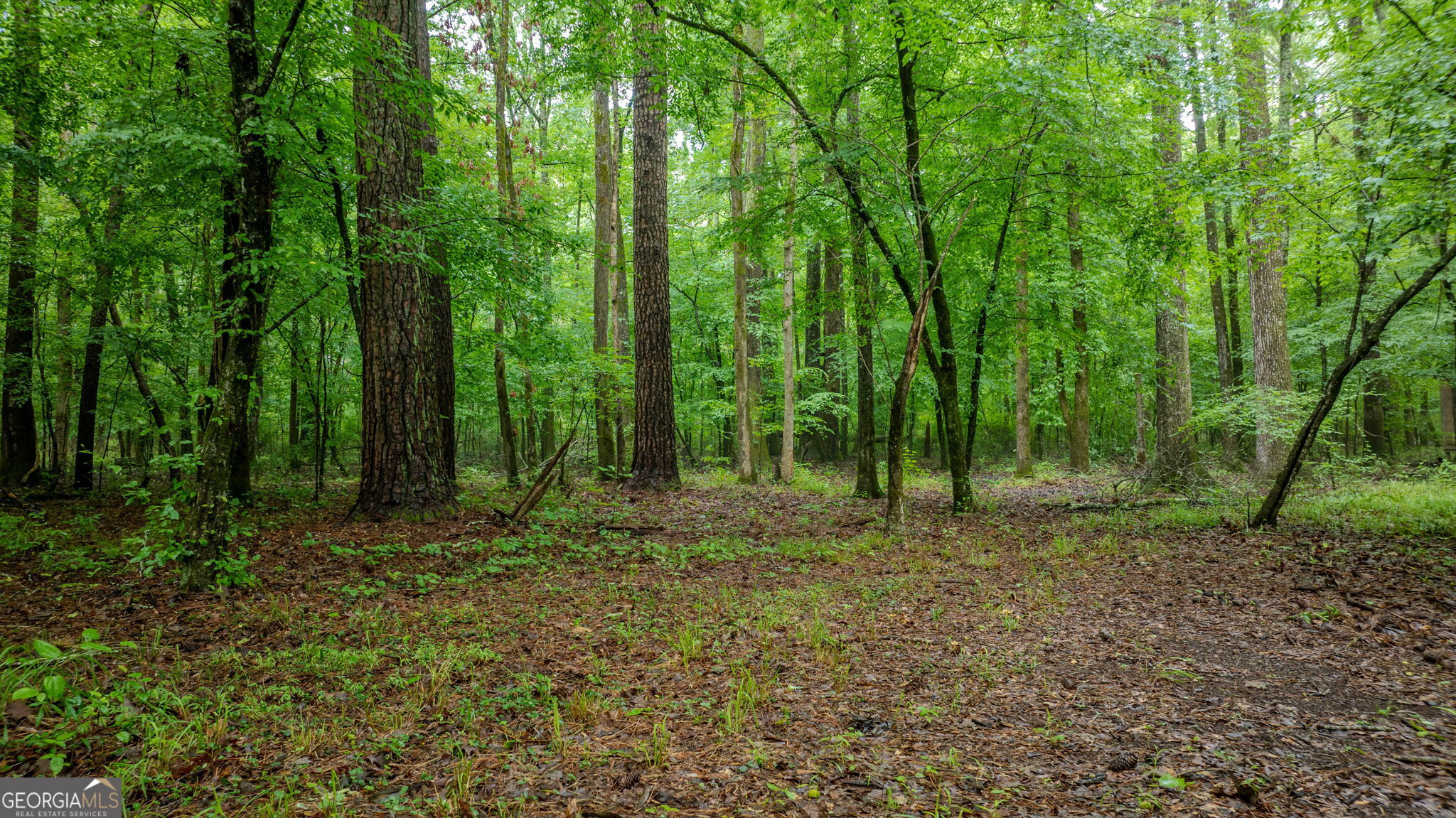 699 Bankstown Road Brooks, GA 30205 - Photo 106 of 122