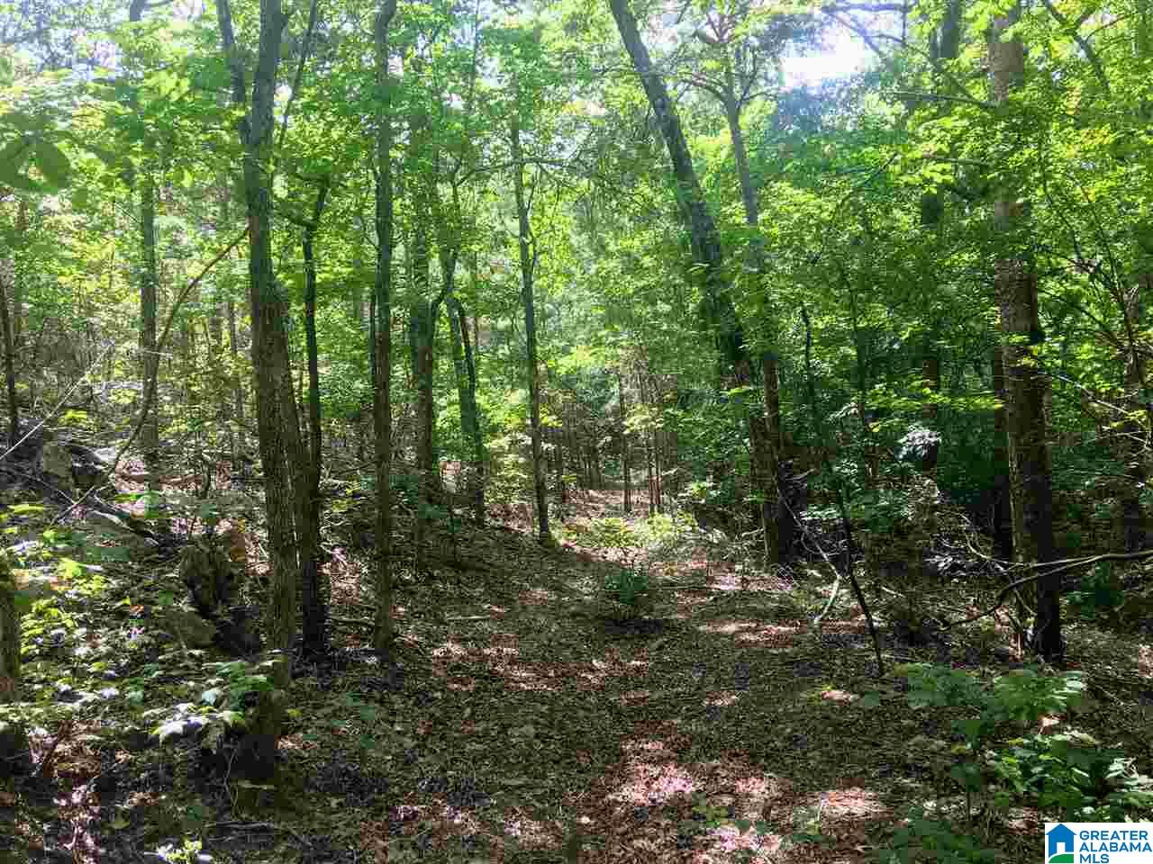 2565 Kentuck Road, Unit 4569 Oxford, AL 36203 - Photo 28 of 46