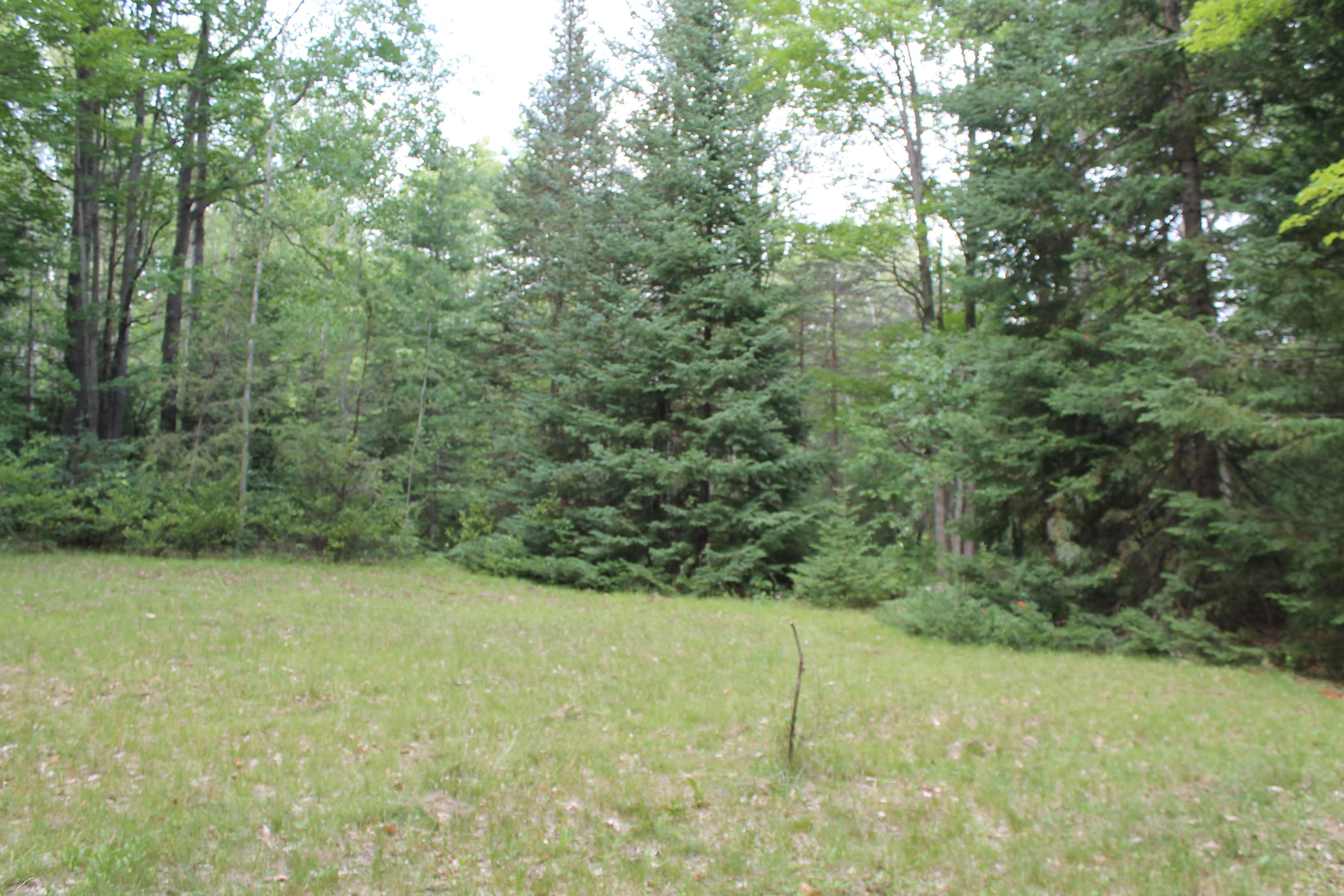12891 Voyer Road Atlanta, MI 49709 - Photo 17 of 31 Gallery Image 17