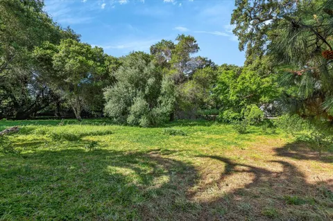 a view of a yard with a tree