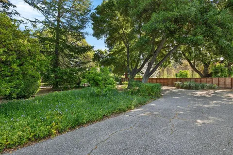 a view of a backyard