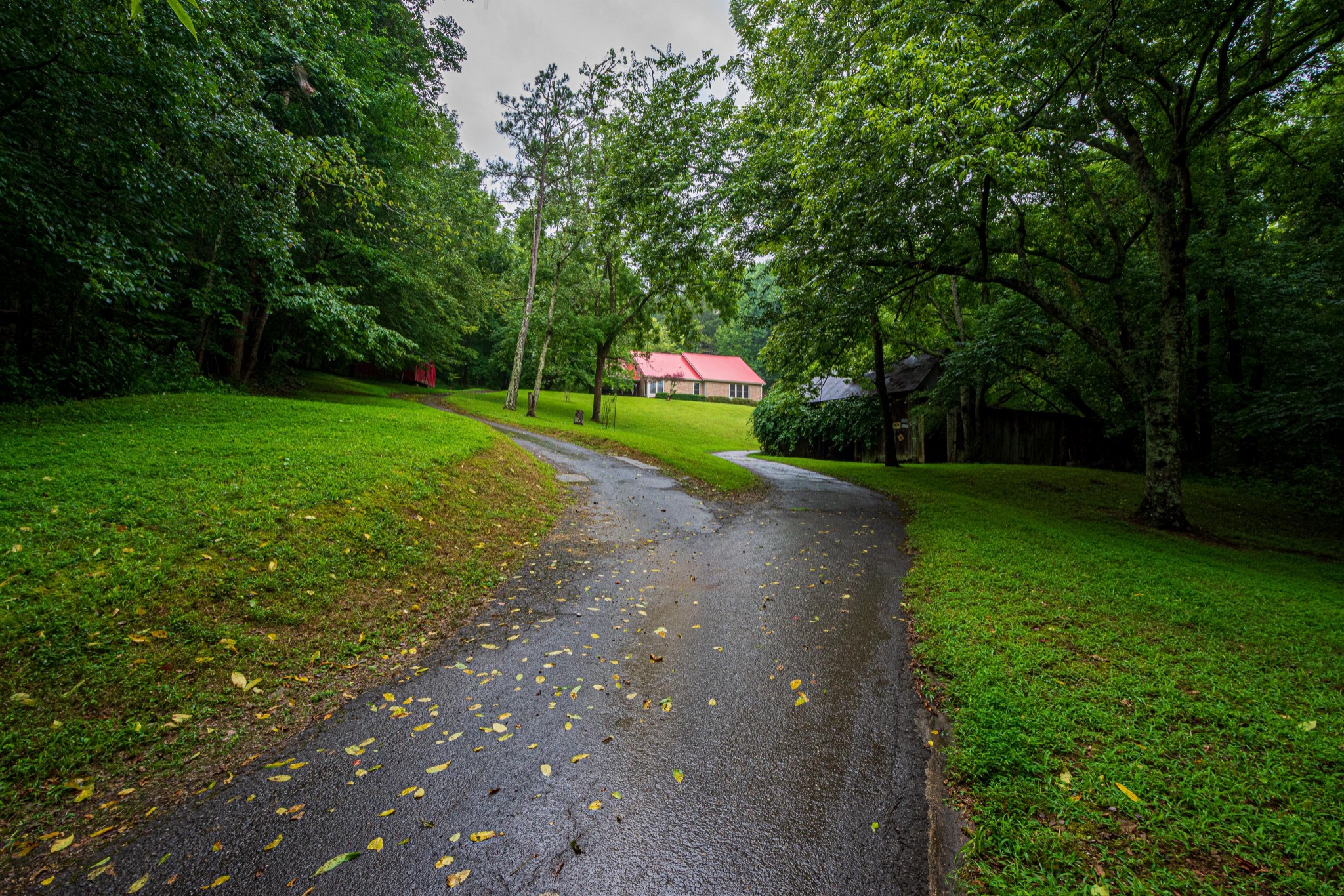 2842 Dog Branch Road Prospect, TN 38477 - Photo 2 of 50 a view of a park
