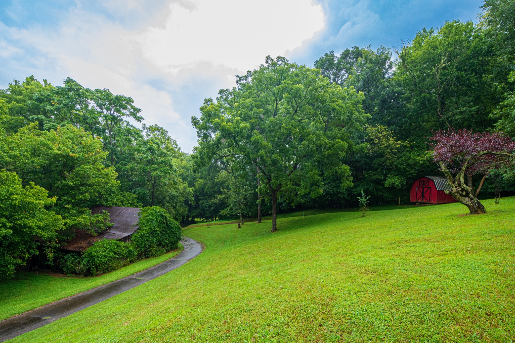 2842 Dog Branch Road Prospect, TN 38477 - Photo 40 of 50 a view of an outdoor space and a yard