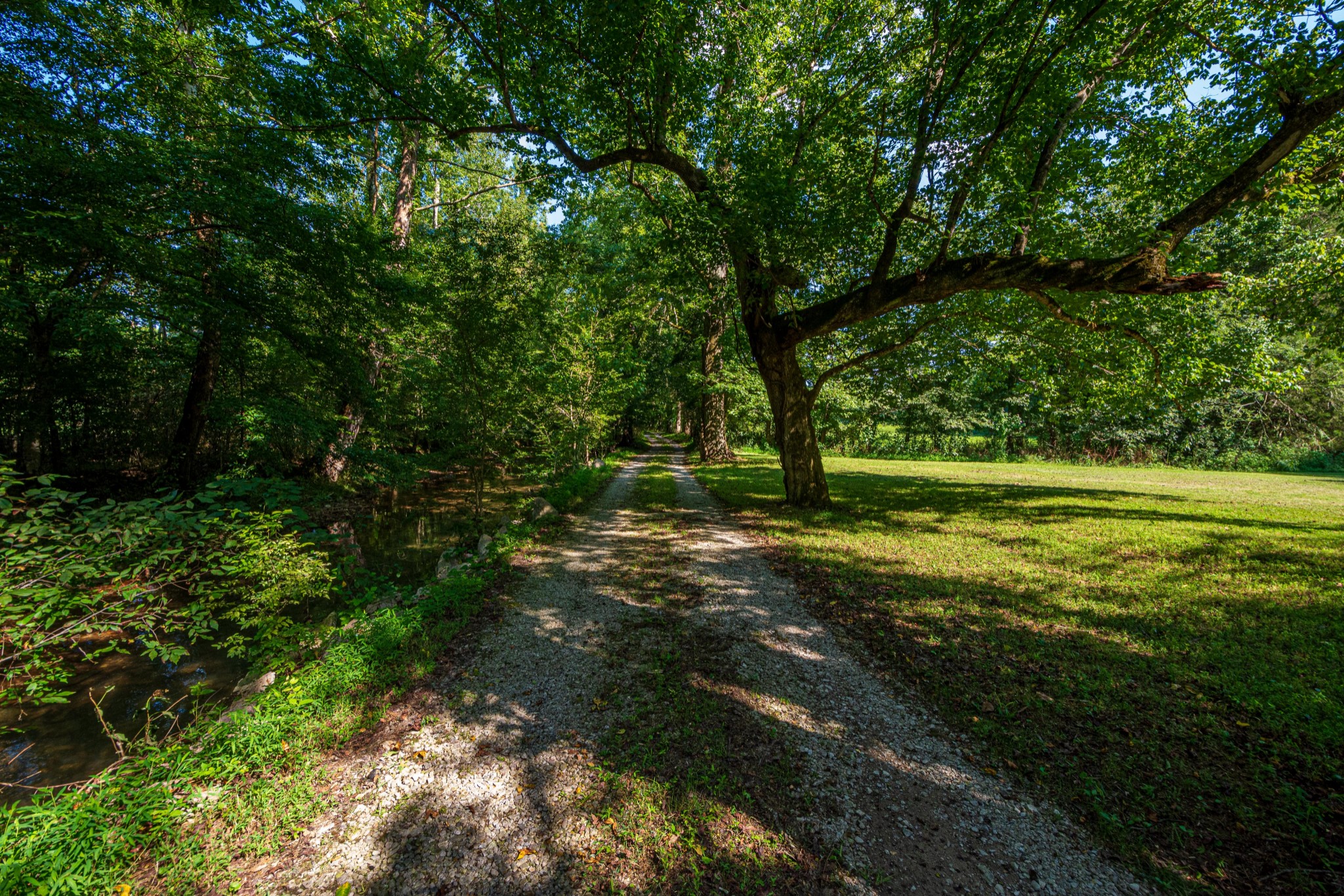 2842 Dog Branch Road Prospect, TN 38477 - Photo 43 of 50 a big yard with lots of green space and trees